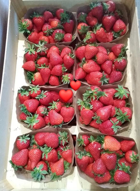 Vente de Fruits Saint-Junien