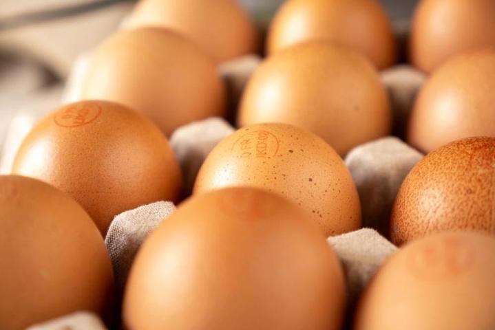 Producteur de légumes Saint-Junien